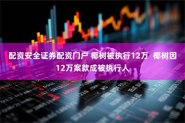 配资安全证券配资门户 椰树被执行12万  椰树因12万案款成被执行人