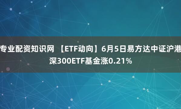 专业配资知识网 【ETF动向】6月5日易方达中证沪港深300ETF基金涨0.21%