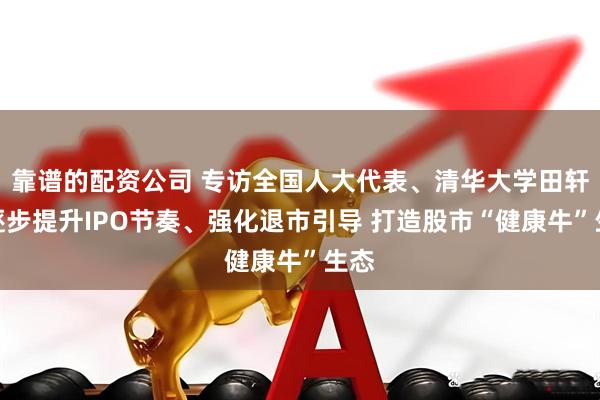 靠谱的配资公司 专访全国人大代表、清华大学田轩：逐步提升IPO节奏、强化退市引导 打造股市“健康牛”生态