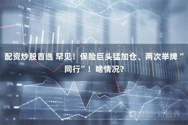 配资炒股首选 罕见！保险巨头猛加仓、两次举牌“同行”！啥情况？